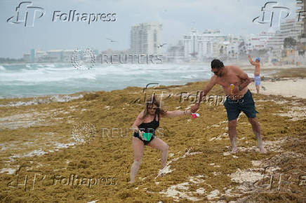 Sargassum seaweed season in Cancun