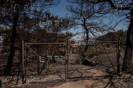 Wildfires continue to rage on Greek island of Chios