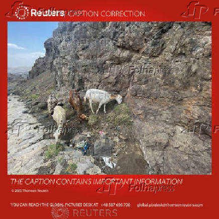 ATTENTION EDITORS - CAPTION CORRECTION FOR RC2WCFA6UCIM