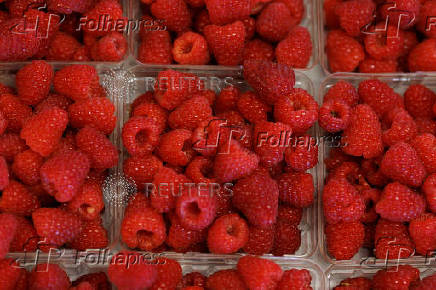 U.S. producer prices increased more than expected in July