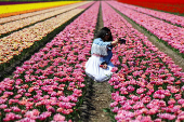 A woman takes a selfie in a tulip field in Lisse