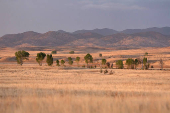 The sun sets, at the San Rafael Valley