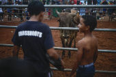 Corridas de toros en el interior de Panamá: cultura, música y valentía