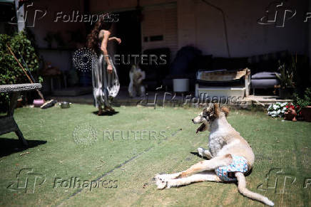 Hadar Gutman - care taker of dogs during war time in Israel