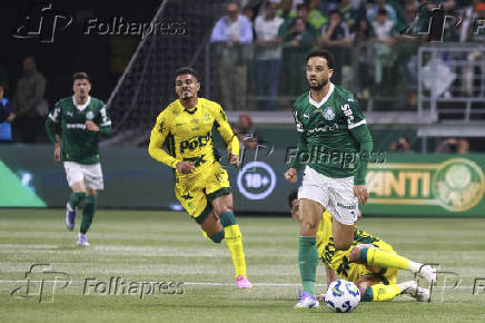 Match between Palmeiras and Mirassol for the Brazilian football championship