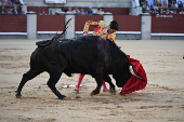 Feria de San Isidro