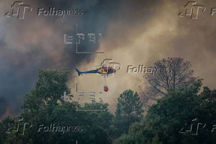Forest fire breaks out in Fornos de Algodres