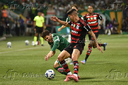 SÃO PAULO (SP), 25.05.2025 - Futebol / Palmeiras x Flamengo