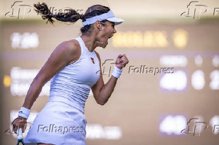 Torneio de Wimbledon 2025