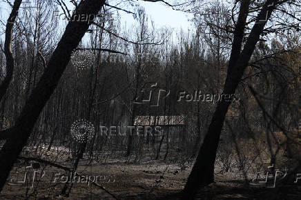 A wildfire burns in Martigues