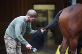 The King's Troop Royal Horse Artillery prepares for 80th anniversary of VE Day