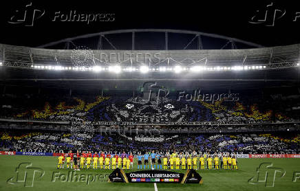 Copa Libertadores - Group Stage - Botafogo v Estudiantes La Plata