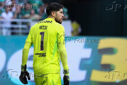 Palmeiras e Flamengo pelo Campeonato Brasileiro