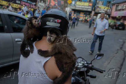 Homem anda com macacos nos ombros na favela da Rocinha