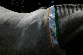 Agricultural show, in Athenry