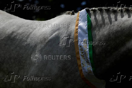 Agricultural show, in Athenry