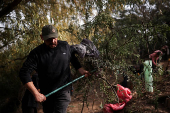 Chilean volunteers combat plastic waste in the Mapocho river, in Santiago