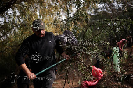 Chilean volunteers combat plastic waste in the Mapocho river, in Santiago