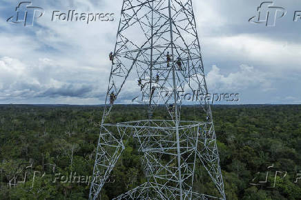 Operários trabalham na montagem de uma torre do linhão Manaus - Boa Vista