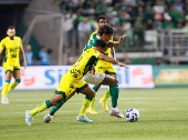 Partida entre Palmeiras e Mirassol pelo Campeonato Brasileiro