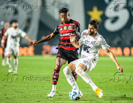 Partida entre Santos x Flamengo