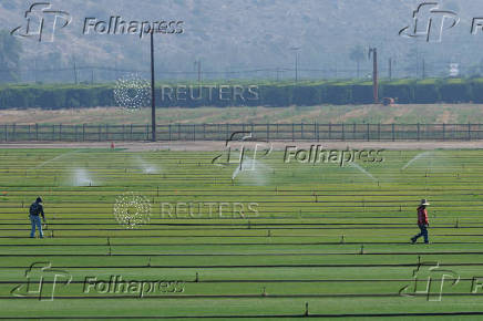 Agricultural workers move water sprinklers in California