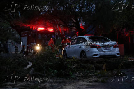 Árvores caídas destroem carros em Perdizes- SP