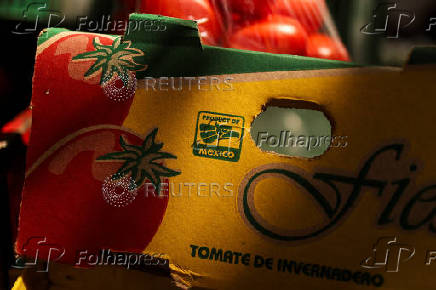 U.S. duties on Mexican tomato imports