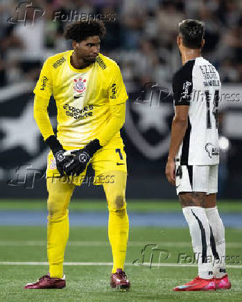 BRASILEIRO A 2025, BOTAFOGO X CORINTHIANS