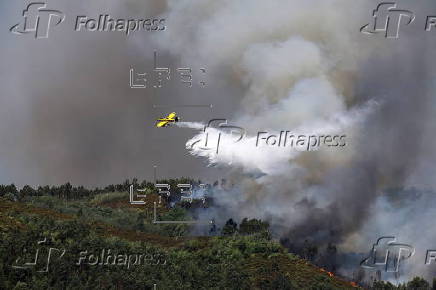 Forest fire in Portugal