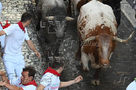 Vuelven a Pamplona los toros de José Escolar para el sexto encierro de los Sanfermines
