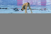 World Aquatics Championships Singapore 2025 - Day 14
