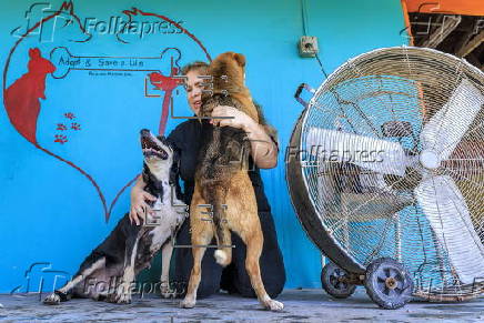 Animal NGO rescues homeless pets after owners deported from the US