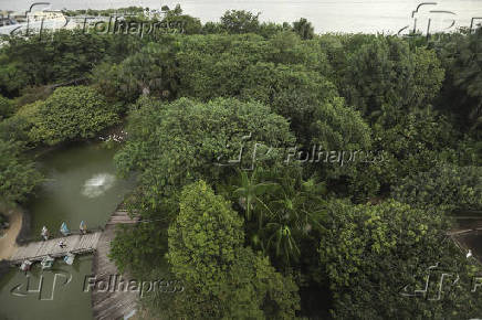 Mangal das Garças em Belém (PA)