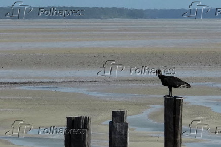Ilha de Algodoal em Maracanã/PA