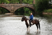 The Appleby Horse Fair in Appleby-in-Westmorland