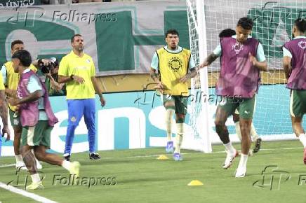 Inter miami fc vs palmeiras :fifa club world cup.