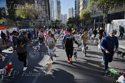 Dogs take over the streets during the Perroton in Bolivia to highlight pet care, in La Paz