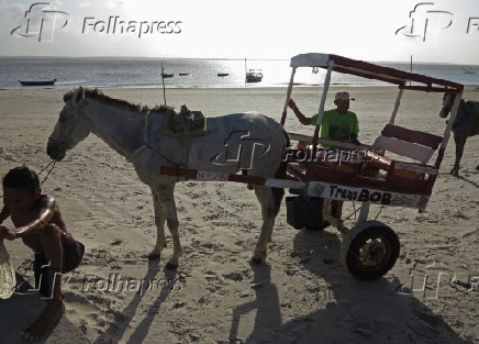 Ilha de Algodoal em Maracanã/PA