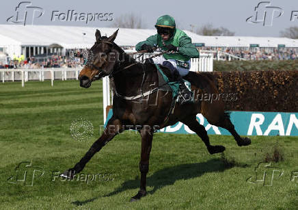 Grand National Festival 2025