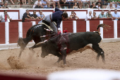 Toros en Zamora