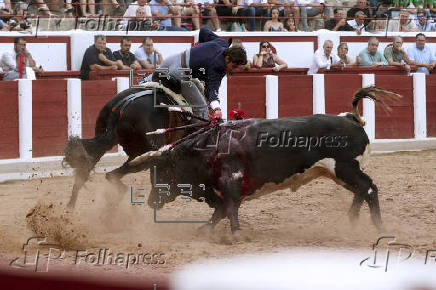 Toros en Zamora