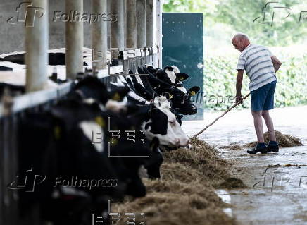 Sustainable farming efforts advance in North Holland dairy farms