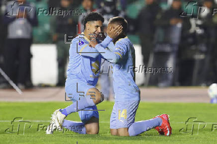 Copa Sudamericana: Bolivar - Palestino