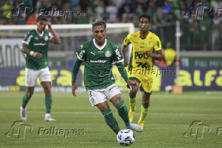 Match between Palmeiras and Mirassol for the Brazilian football championship