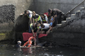 Siete fallecidos y un bebé desaparecido al volcar un cayuco en el puerto de La Restinga