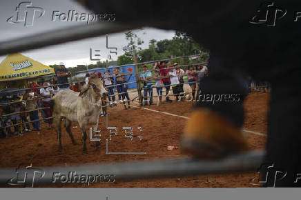 Corridas de toros en el interior de Panamá: cultura, música y valentía