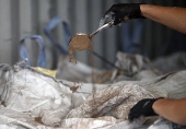 Thai customs seize over 700 tons of illegal imports, hazardous waste