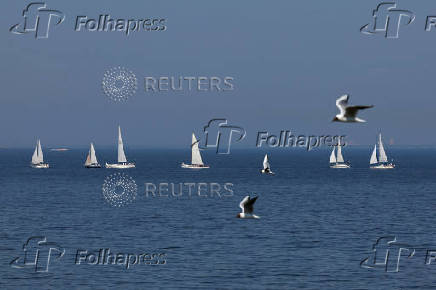 Yachts sail on the Gulf of Finland during a maritime festival in Saint Petersburg