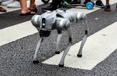 Cão robô da GCM na Av. Paulista